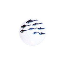 Les Ottomans - Bowl Piccola in Ceramica 'Sardine'