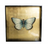 Les Ottomans - Vassoio in Legno Laccato Butterfly 'LT 02'