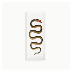 FORNASETTI - Vassoio Serpente Oro