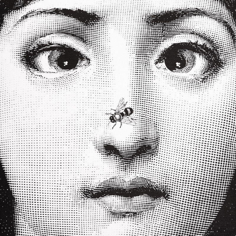FORNASETTI - Cuscino Ape in Bianco/Nero
